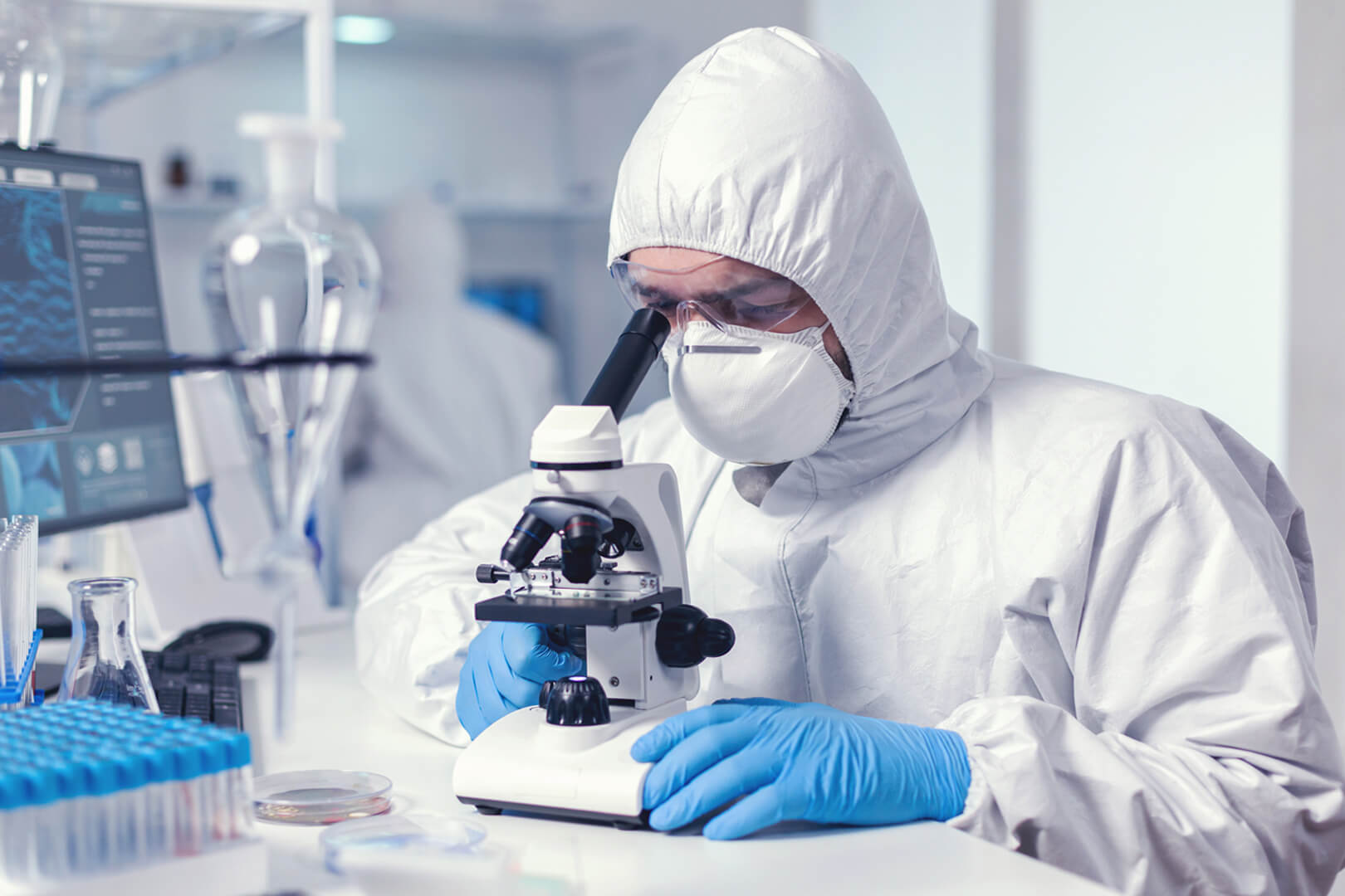 Faucibus Et Molestie